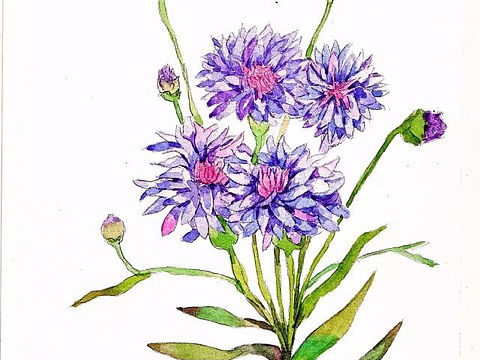 商业插画（个人主页-ZMjE4MDA0NjA=） - 商业插画 - 站酷设计师jasonz2016原创素材 - 站酷ZCOOL