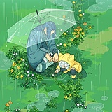 海街云树的头像