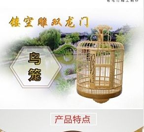 网页设计