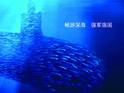 海洋（个人主页-ZMjE0NjI4NA==） - 宣传物料 - 站酷设计师zhudy原创素材 - 站酷ZCOOL