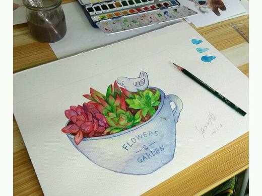 水彩多肉