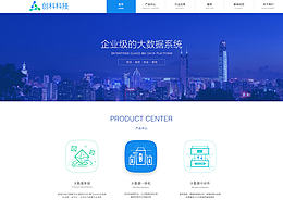 企业网站