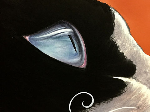 猫·四季（个人主页-ZMzAzNjgwODg=） - 创作习作 - 站酷设计师周感平原创素材 - 站酷ZCOOL