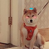 于余于雨的头像
