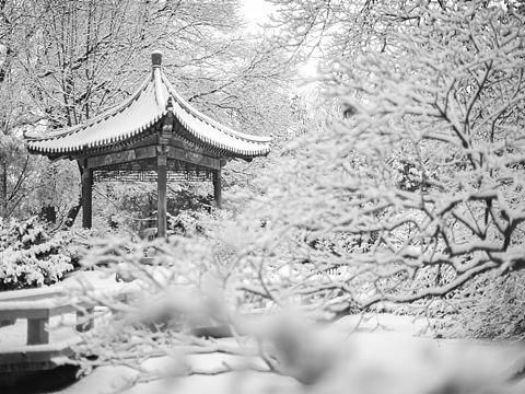 雪