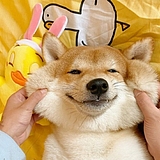 谁拿了我U盘的头像