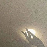 怡宝l的头像