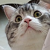 pabo茄的头像