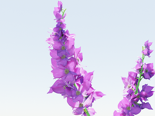 2020年時接觸blender的練習(xí)（個人主頁-ZNjU2NDQ4NjA=） - 其他三維 - 站酷設(shè)計師ZILONGGEGE原創(chuàng)素材 - 站酷ZCOOL