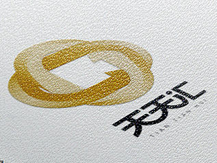 天天汇小额贷款LOGO