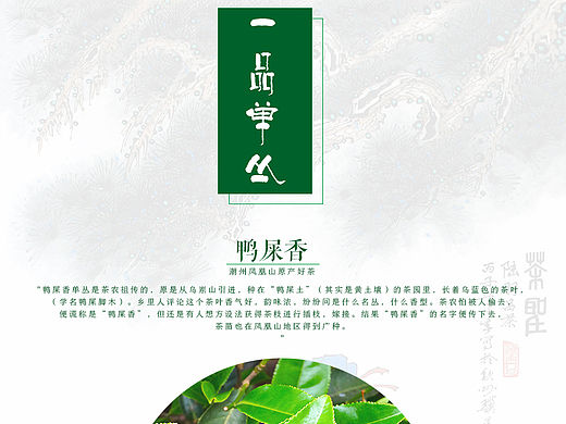 鸭屎香详情页-京东茶叶旗舰店凤凰单枞茶
