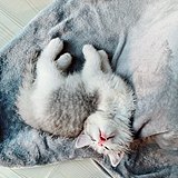 李铭萱的头像