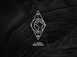 C world SPACE DESIGN