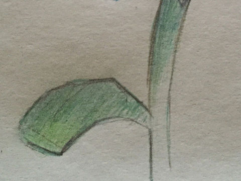 送你一朵花（個人主頁-ZMTU4Mjg2NDg=） - 創(chuàng)作習(xí)作 - 站酷設(shè)計(jì)師嗷大喵深得吾心原創(chuàng)素材 - 站酷ZCOOL