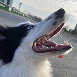 Lue_L的头像