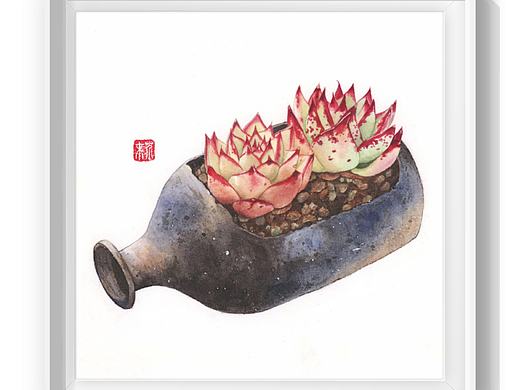 芥末水彩手绘多肉