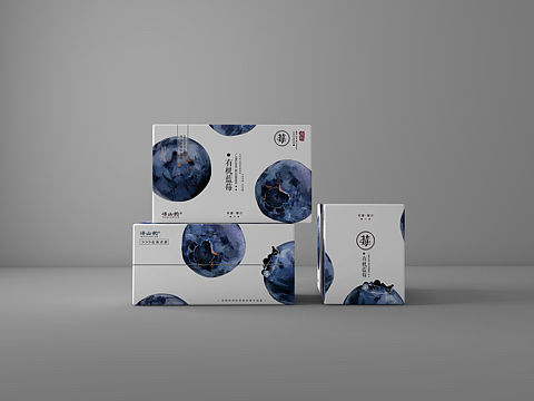 原创：手绘水果（蓝莓）包装设计