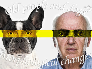 人狗換眼（個(gè)人主頁-ZMzgyNjkzNg==） - 海報(bào) - 站酷設(shè)計(jì)師snowy1moon原創(chuàng)素材 - 站酷ZCOOL