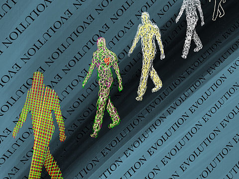 关于人间的解答