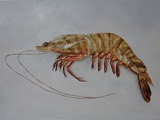 油画大虾