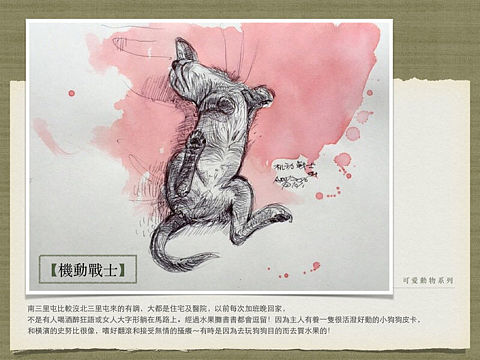 【可愛動物系列】