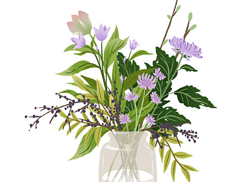 插画练习|植物的刻画方式