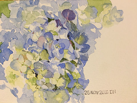 dannie每日一画D37-41水彩