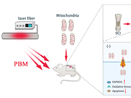 野马科研绘图欣赏