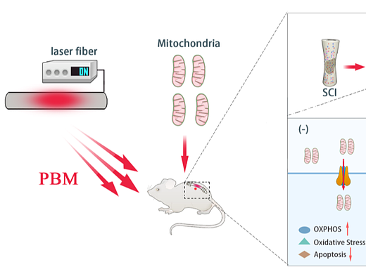 野马科研绘图欣赏