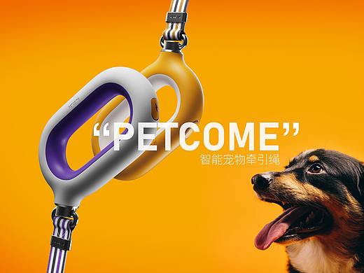 PETCOME宠物牵引绳 | EPETCOME Flash Dog Leash