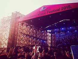 草莓音乐节｜鲜花港｜公园《手机拍》