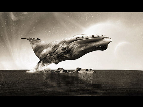 Mr.Humpback whale（個人主頁-ZMjM4MzQ1NDA=） - 海報(bào) - 站酷設(shè)計(jì)師時光奧利奧原創(chuàng)素材 - 站酷ZCOOL