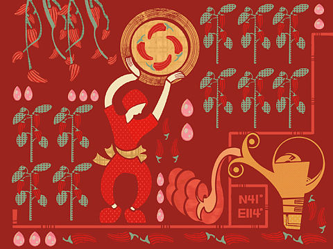 辣椒酱插画设计