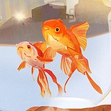 山白鸦鸦的头像