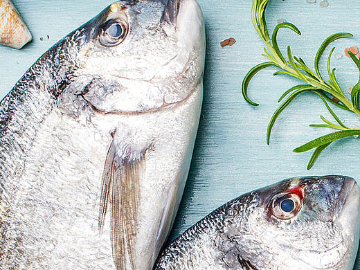 电商食品banner-冻货海鲜