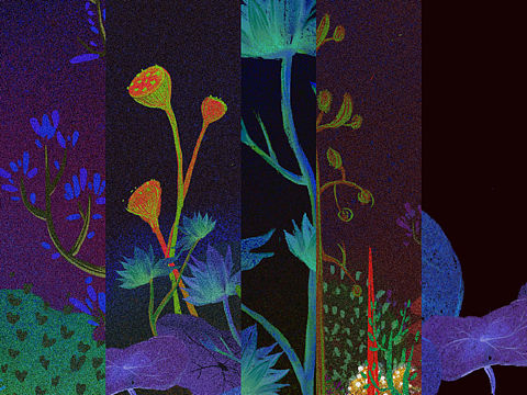 异森 Quirky forest