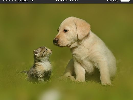 做的項目的登陸頁（个人主页-ZMTQwNzk5MzY=） - APP界面 - 站酷设计师步步超神原创素材 - 站酷ZCOOL