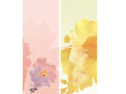 花卉插画