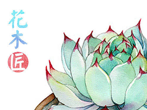 微信绿植商城 手机端页面设计