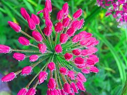 選你最愛(ài)！選你最真的。感謝評(píng)論區(qū)續(xù)寫……