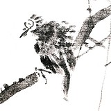 大光明王的头像