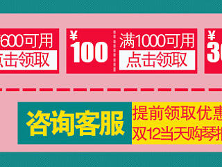 淘宝美工 优惠券 双11 双12 圣诞 详情促销活动
