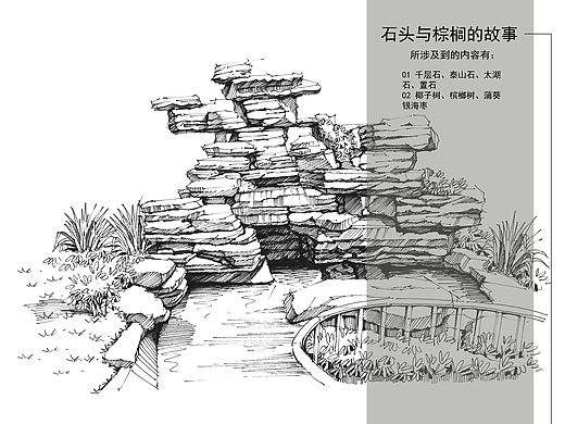 景观设计元素——石头与棕榈的故事