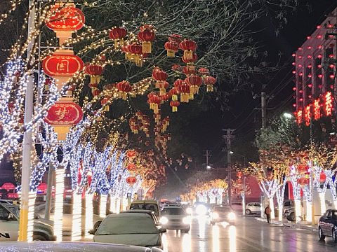 猪年大吉！（个人主页-ZMzM2NzQ3NDQ=） - 人文/纪实摄影 - 站酷设计师藤鹿原创素材 - 站酷ZCOOL