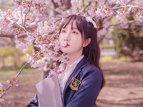樱花少女写真