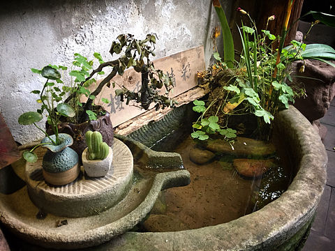 茶馆