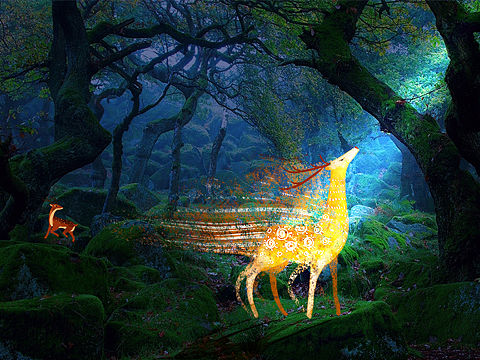 林深见鹿（个人主页-ZNDUzODE0MDQ=） - 创作习作 - 站酷设计师Melodyyan原创素材 - 站酷ZCOOL