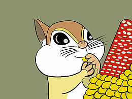 同样的日常练习