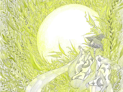 今晚的月色甚美