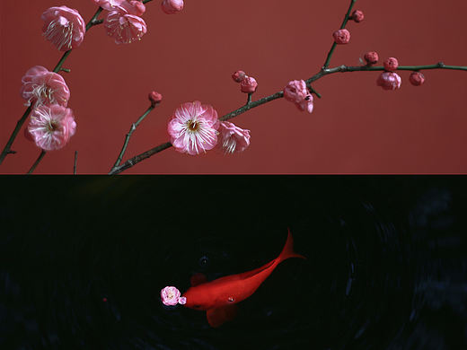 最爱芳香何处，花落菩提深深，随缘即应，落花潋滟